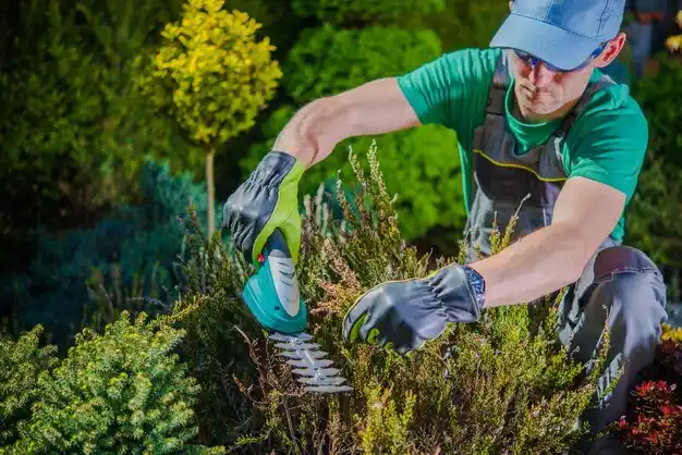 landscaping services West Liberty